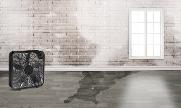 Best Flood restoration services  in Tucson Estates, AZ