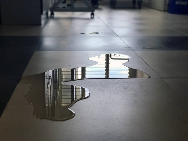 Best Water damage repair service  in Tucson Estates, AZ