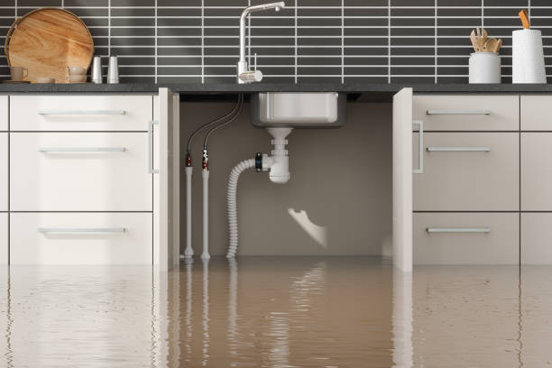 Tucson Estates, AZ Water damage restoration Company