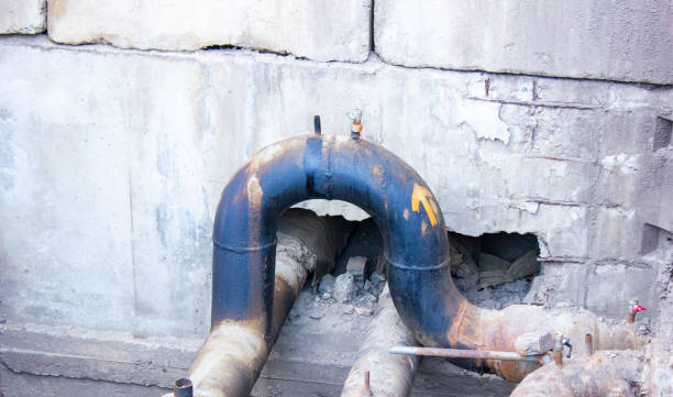 Best Mold removal after water damage  in Tucson Estates, AZ