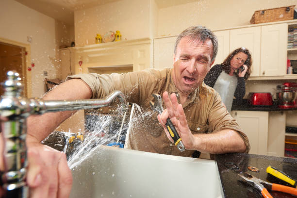 Best Professional water damage repair  in Tucson Estates, AZ